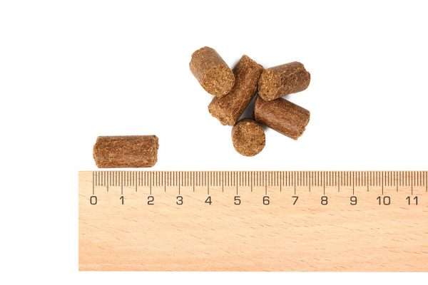 MaxiDog Champion di Reico – cibo secco facile da digerire - immagine 2