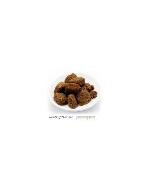 MaxiDog Dynamic di Reico – Cibo secco senza cereali - immagine 3