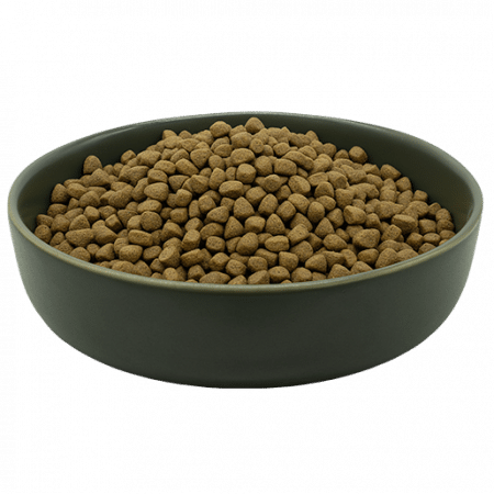 Maxidog Pura Dynamic