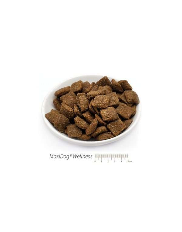 MaxiDog Wellness di Reico – Crocchette senza cereali - immagine 2