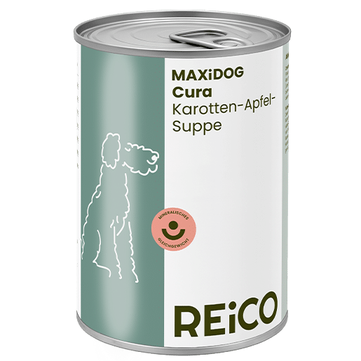Reico zuppa carote e mele