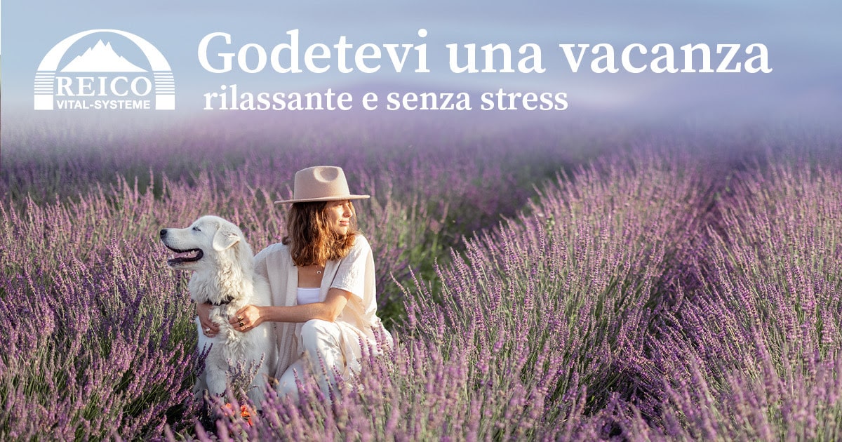 Viaggio con il cane