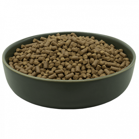 MAXiDOG Pura Agnello